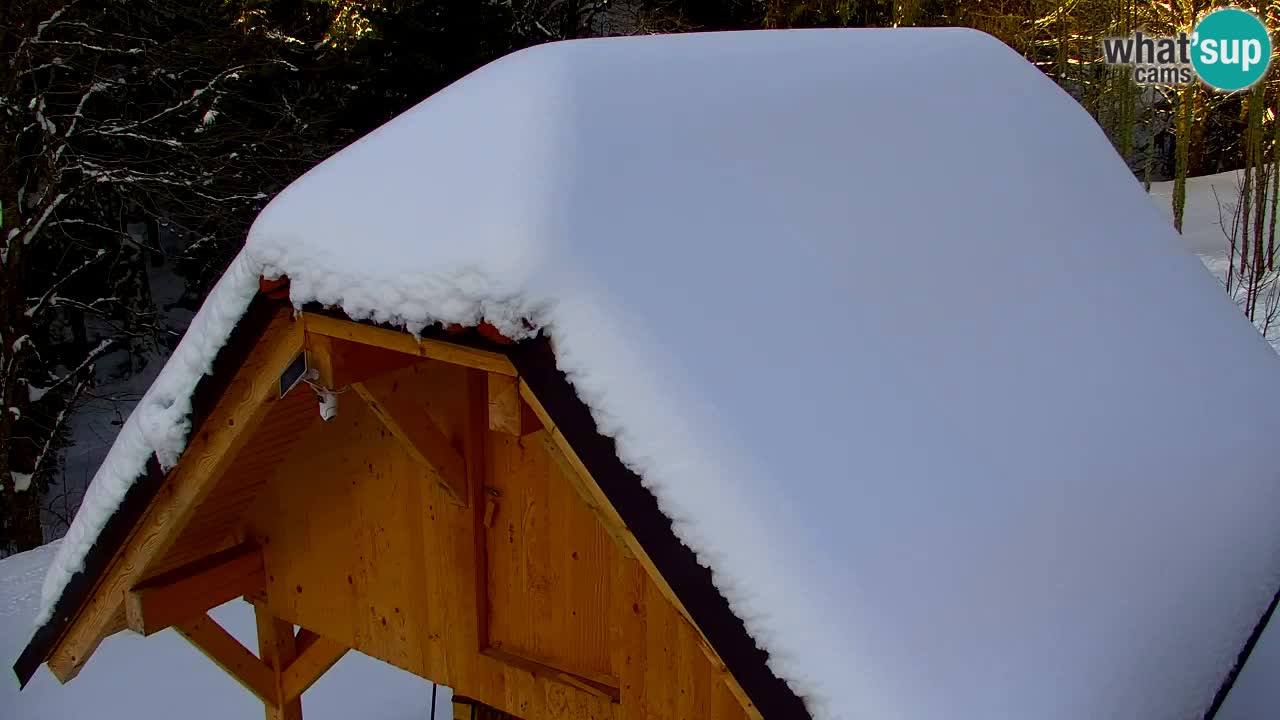 Webcam Lukanja – Water Village | Pohorje Houses