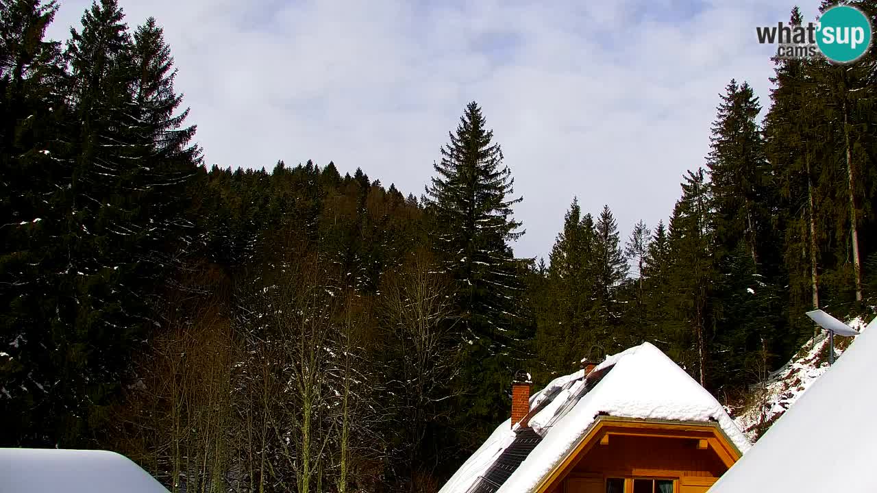 Web kamera Lukanja – Water Village | Pohorje Houses