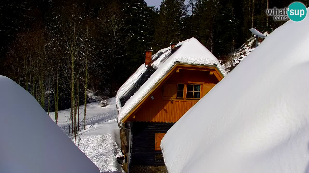 Webcam Lukanja – Water Village | Pohorje Houses