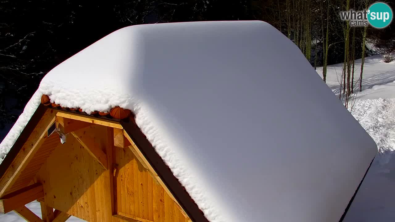 Web kamera Lukanja – Water Village | Pohorje Houses