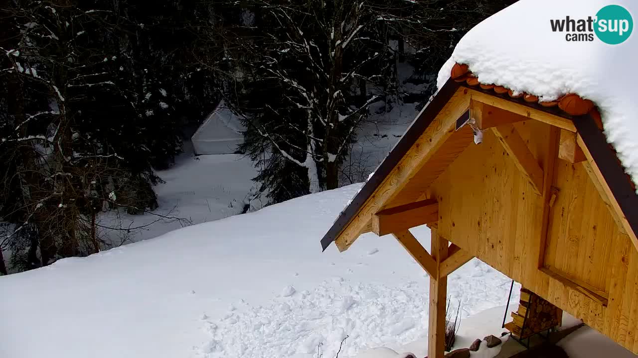 Webcam Lukanja – Water Village | Pohorje Houses