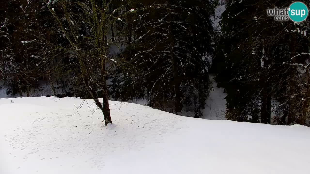 Webcam Lukanja – Pohorje houses a Water village