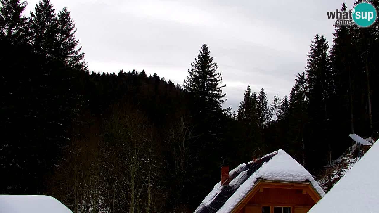 Webcam Lukanja – Pohorje houses a Water village