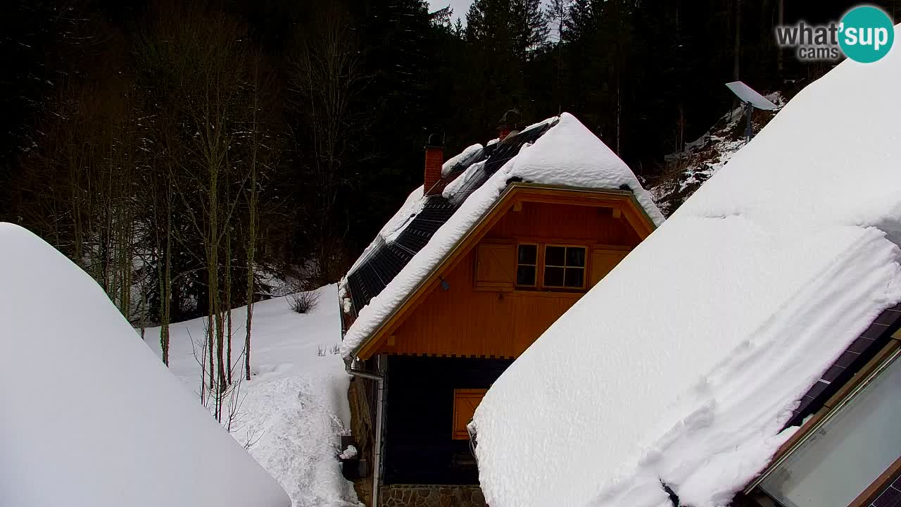 Webcam Lukanja – Water Village | Pohorje Houses