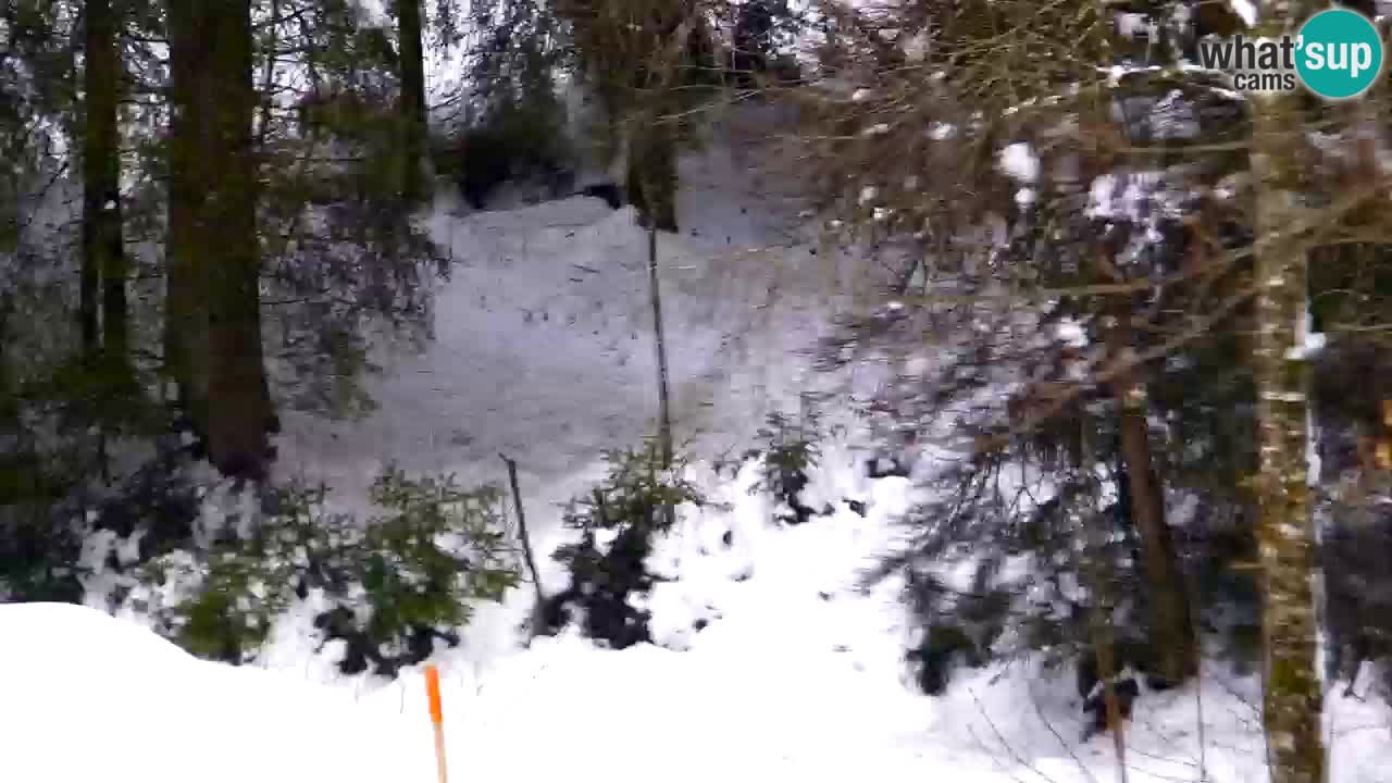 Webcam Lukanja – Pohorje houses a Water village