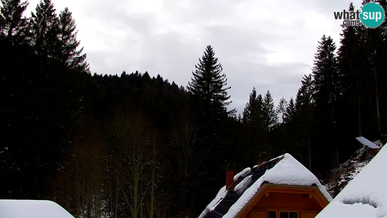 Webcam Lukanja – Water Village | Pohorje Houses