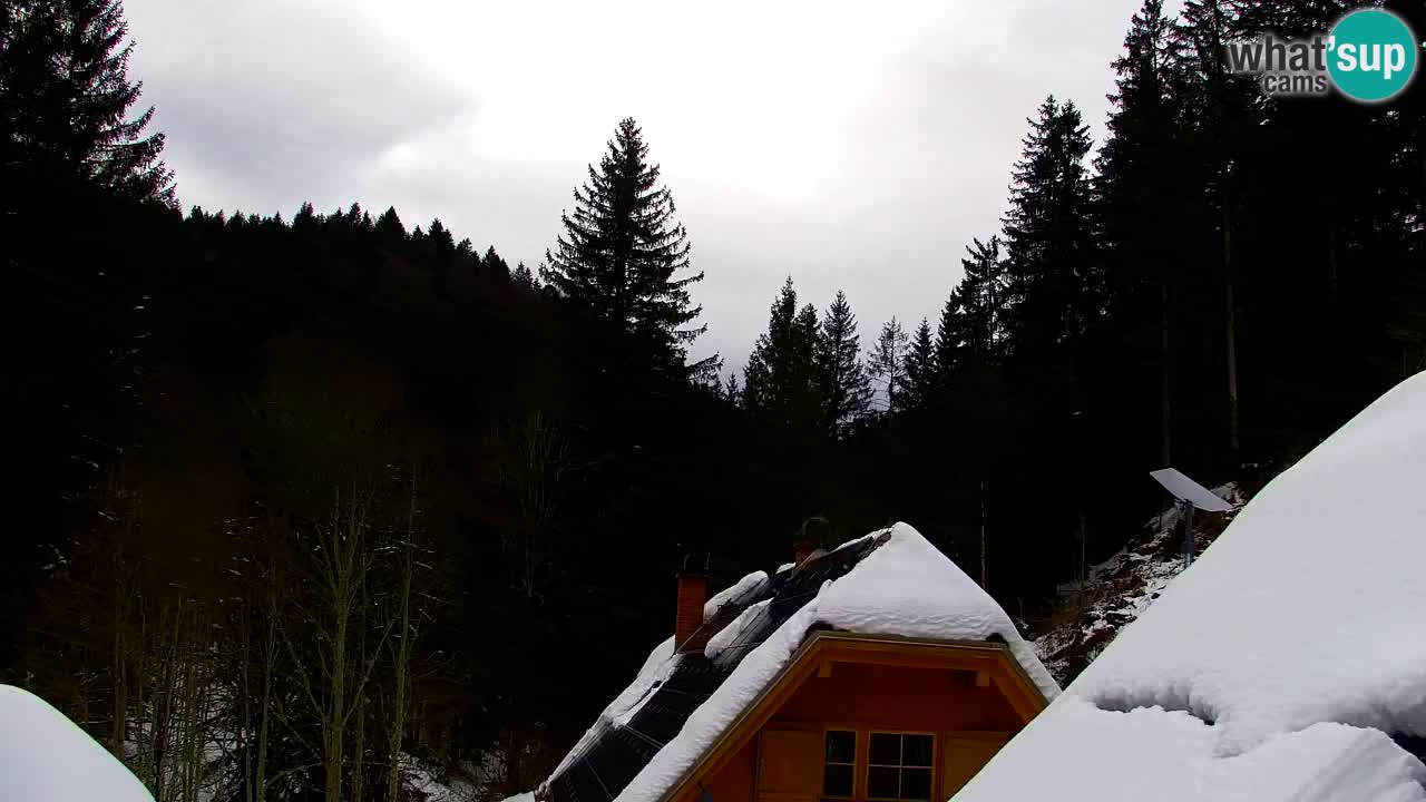 Webcam Lukanja – Water Village | Pohorje Houses