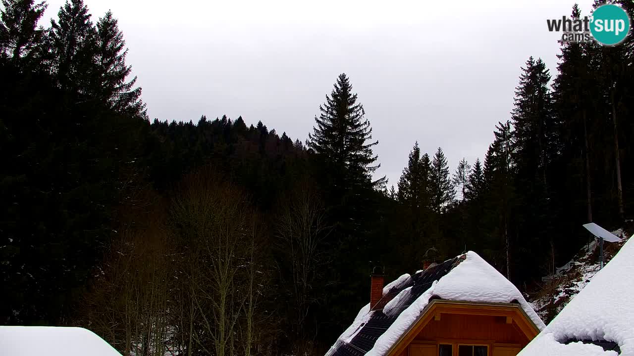 Webcam Lukanja – Pohorje houses a Water village