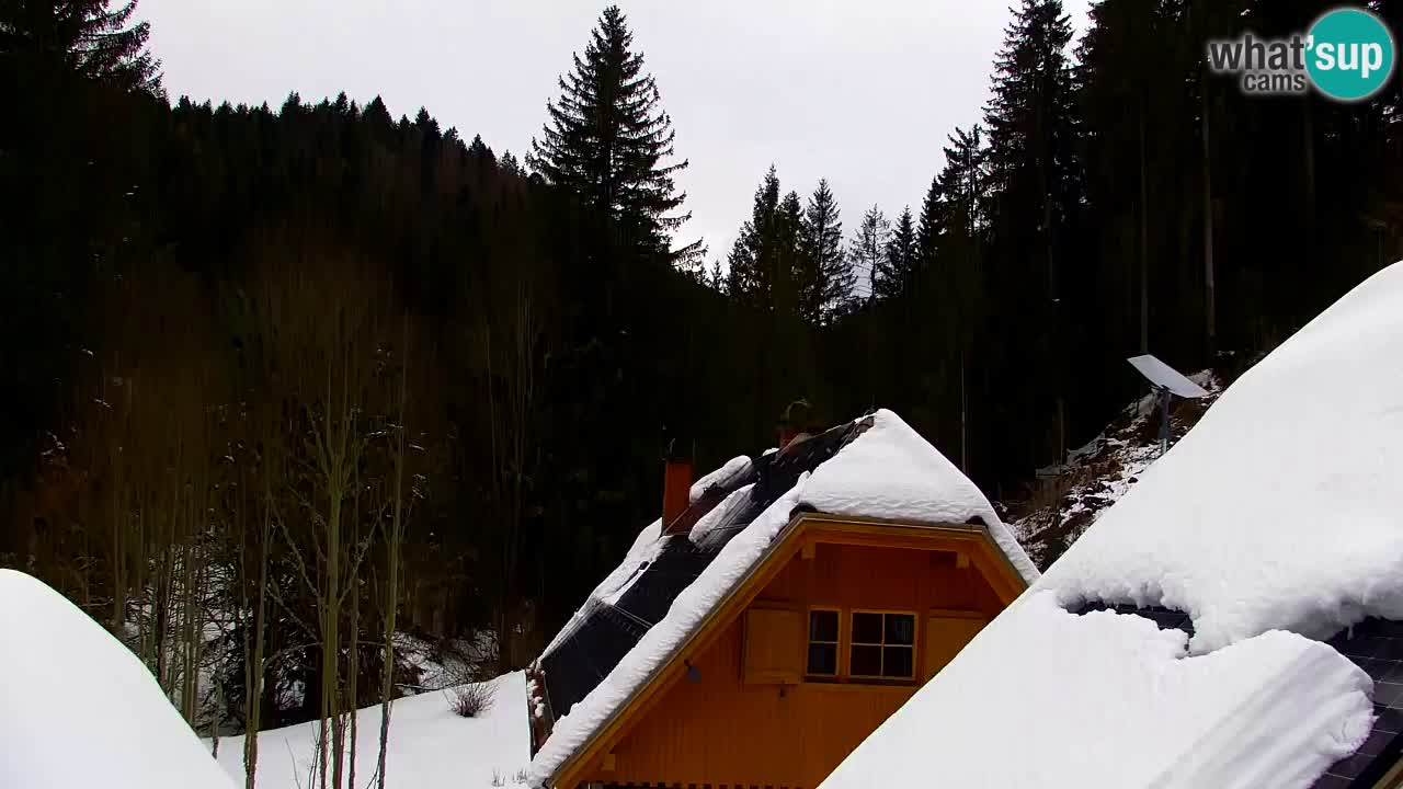 Webcam Lukanja – Pohorje houses a Water village