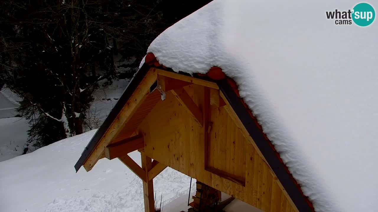 Webcam Lukanja – Pohorje houses a Water village