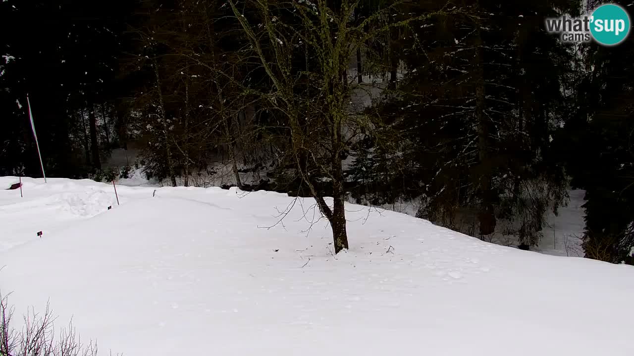 Webcam Lukanja – Water Village | Pohorje Houses