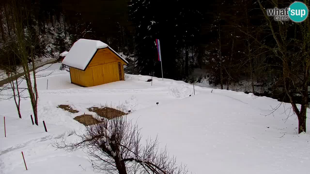 Spletna kamera Lukanja – Water Village | Pohorje Houses