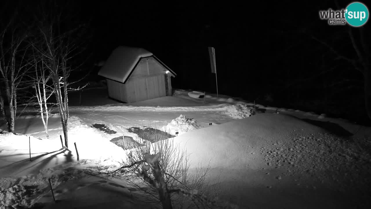 Webcam Lukanja – Pohorje houses a Water village