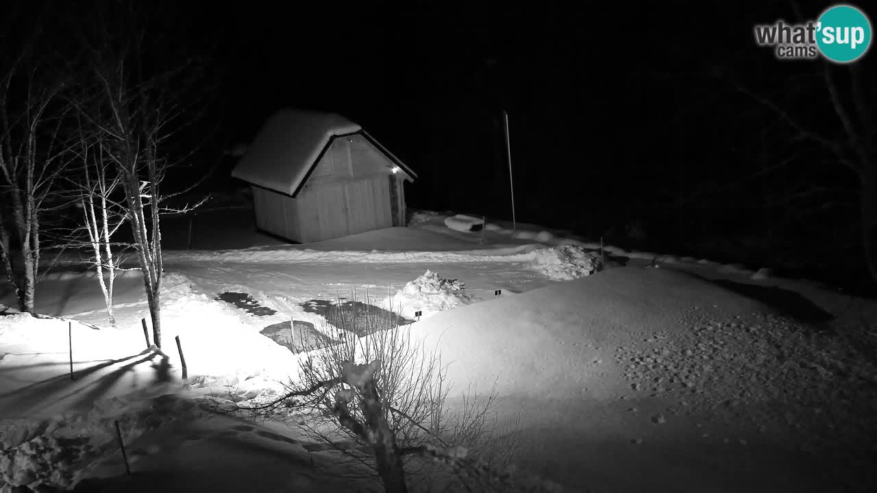 Webcam Lukanja – Water Village | Pohorje Houses