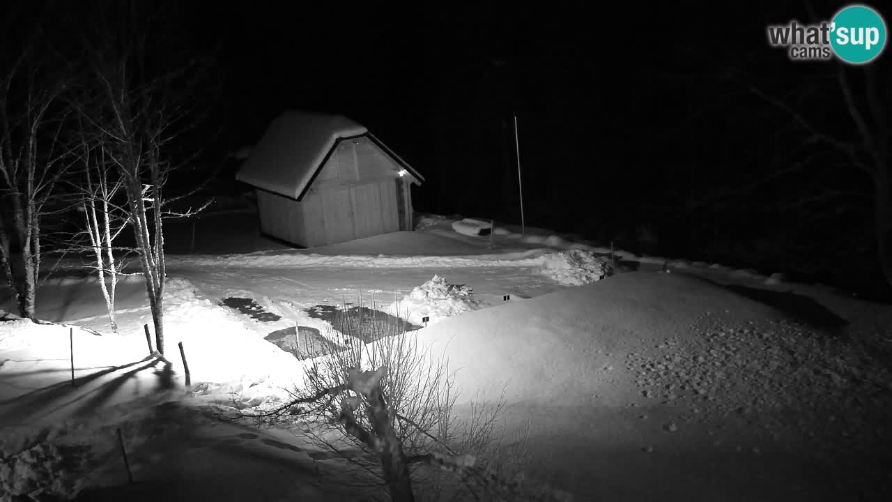 Webcam Lukanja – Water Village | Pohorje Houses