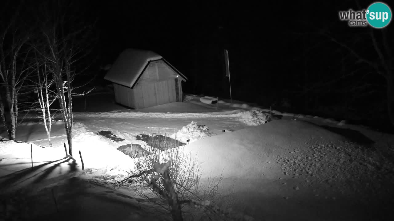 Webcam Lukanja – Water Village | Pohorje Houses