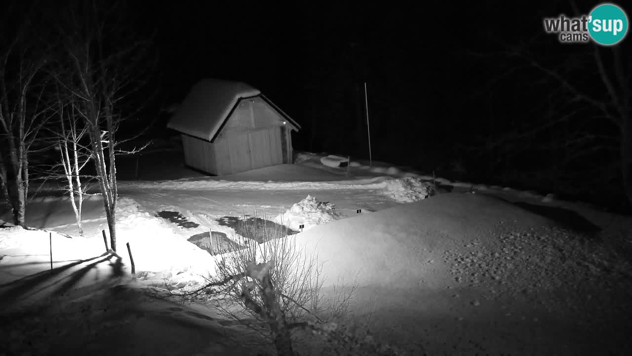 Spletna kamera Lukanja – Water Village | Pohorje Houses