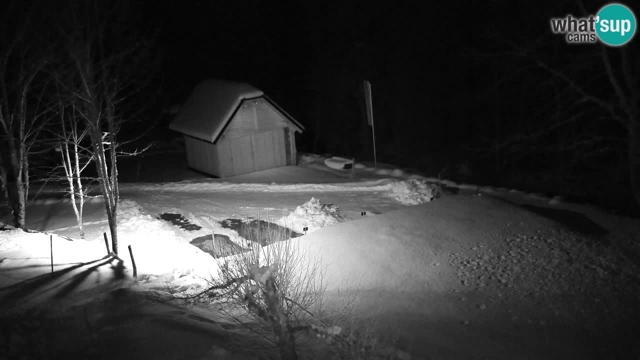 Webcam Lukanja – Water Village | Pohorje Houses