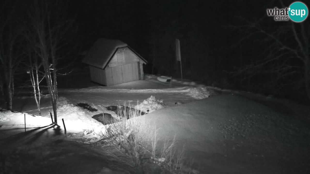 Webcam Lukanja – Pohorje houses a Water village