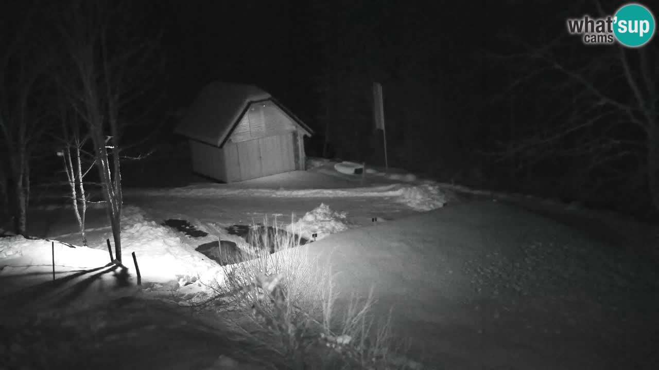 Web kamera Lukanja – Water Village | Pohorje Houses