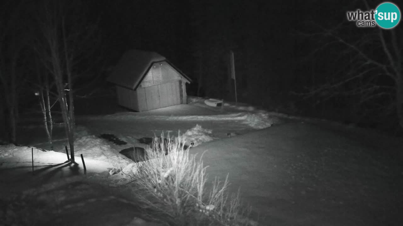 Spletna kamera Lukanja – Water Village | Pohorje Houses
