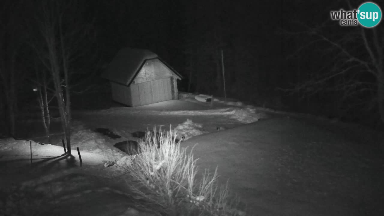 Webcam Lukanja – Water Village | Pohorje Houses