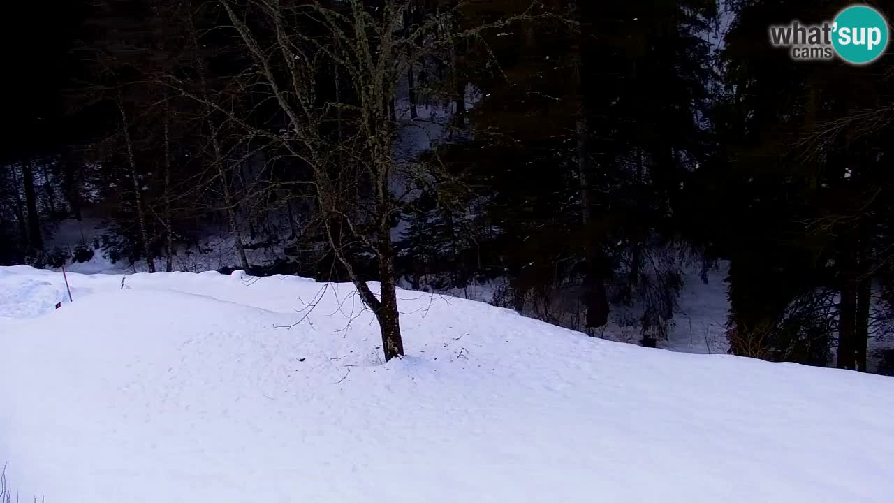 Spletna kamera Lukanja – Water Village | Pohorje Houses