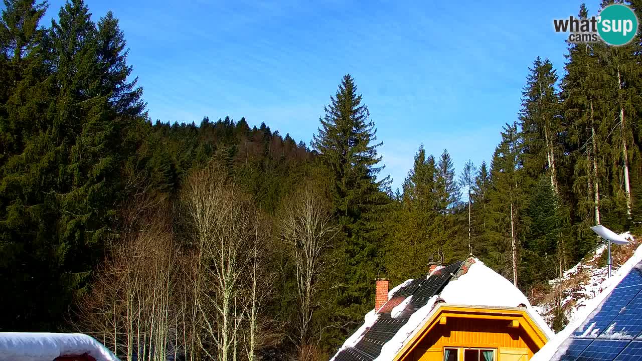 Spletna kamera Lukanja – Water Village | Pohorje Houses