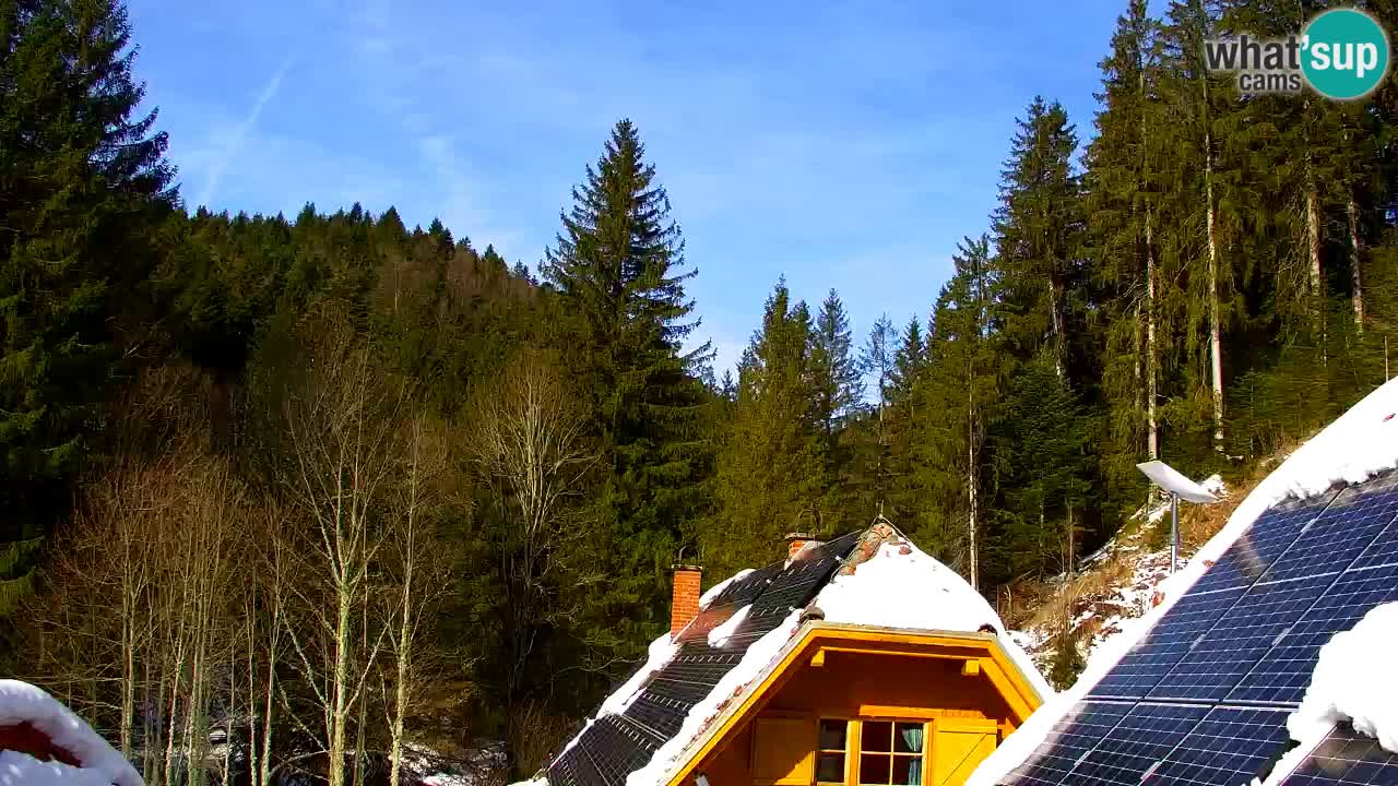 Webcam Lukanja – Pohorje houses a Water village