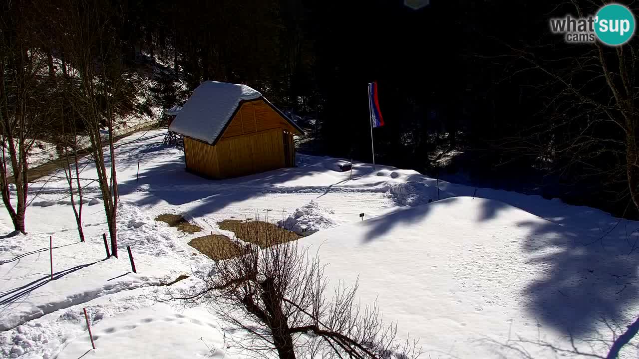 Webcam Lukanja – Water Village | Pohorje Houses