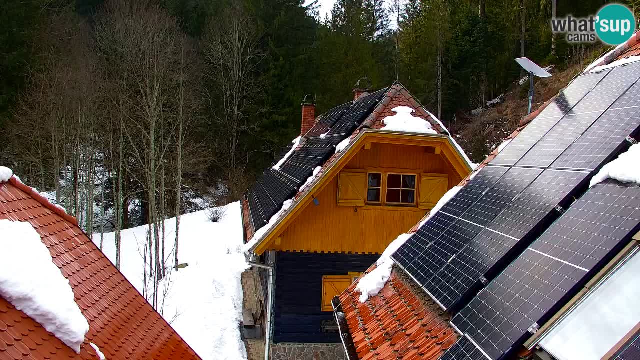 Webcam Lukanja – Pohorje houses a Water village