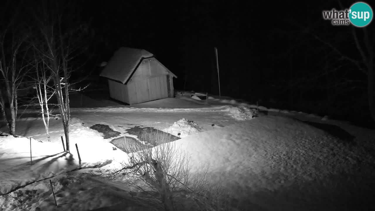 Webcam Lukanja – Pohorje houses a Water village