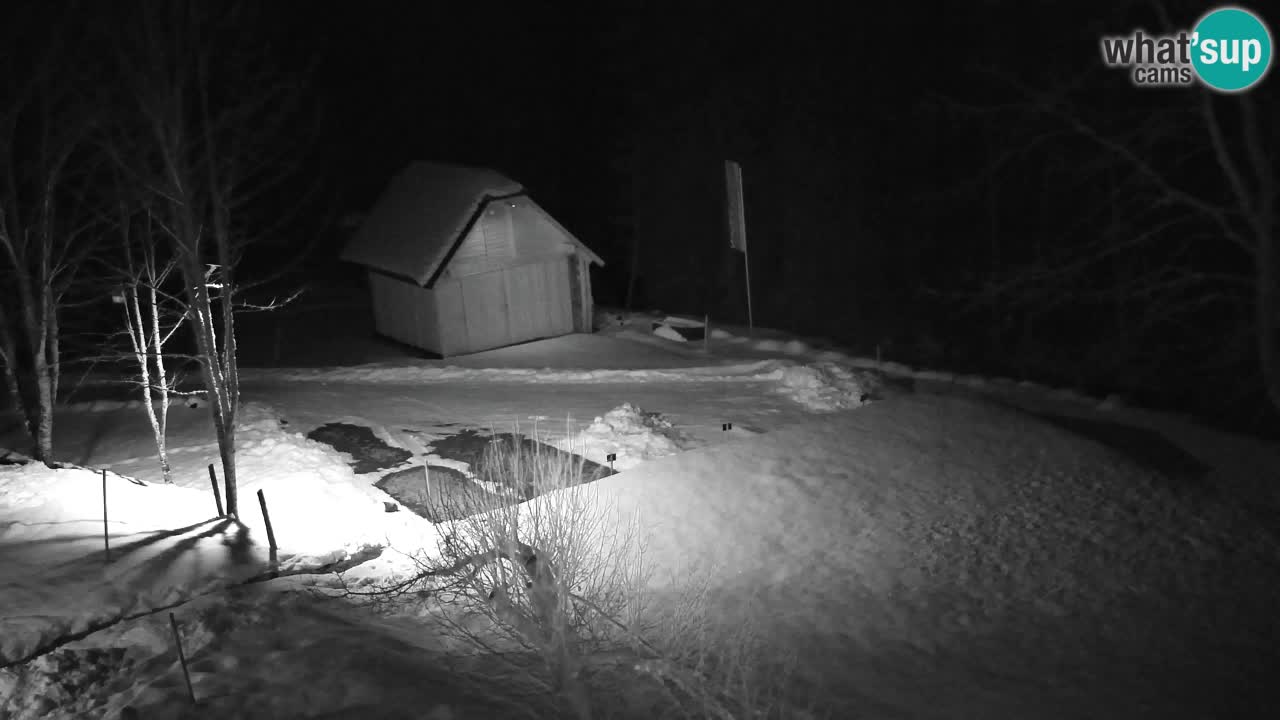 Webcam Lukanja – Pohorje houses a Water village