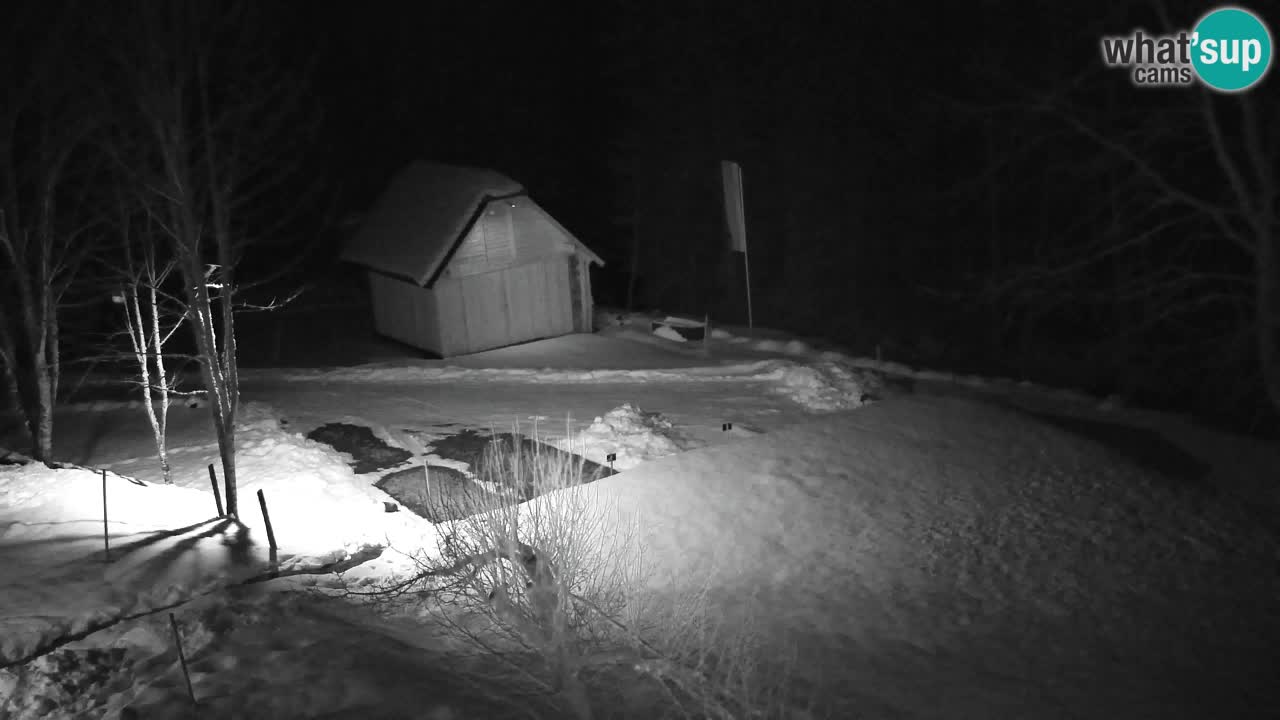 Webcam Lukanja – Pohorje houses a Water village