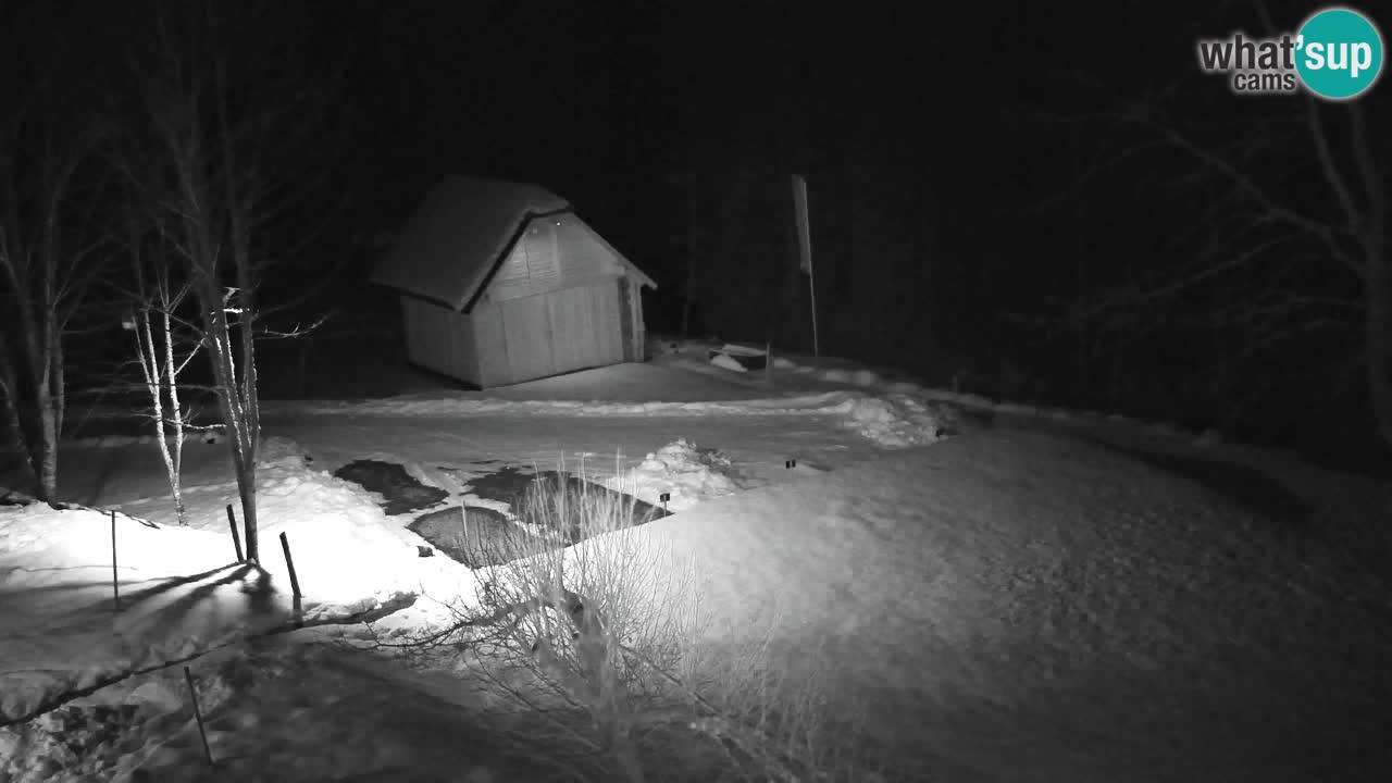 Webcam Lukanja – Water Village | Pohorje Houses