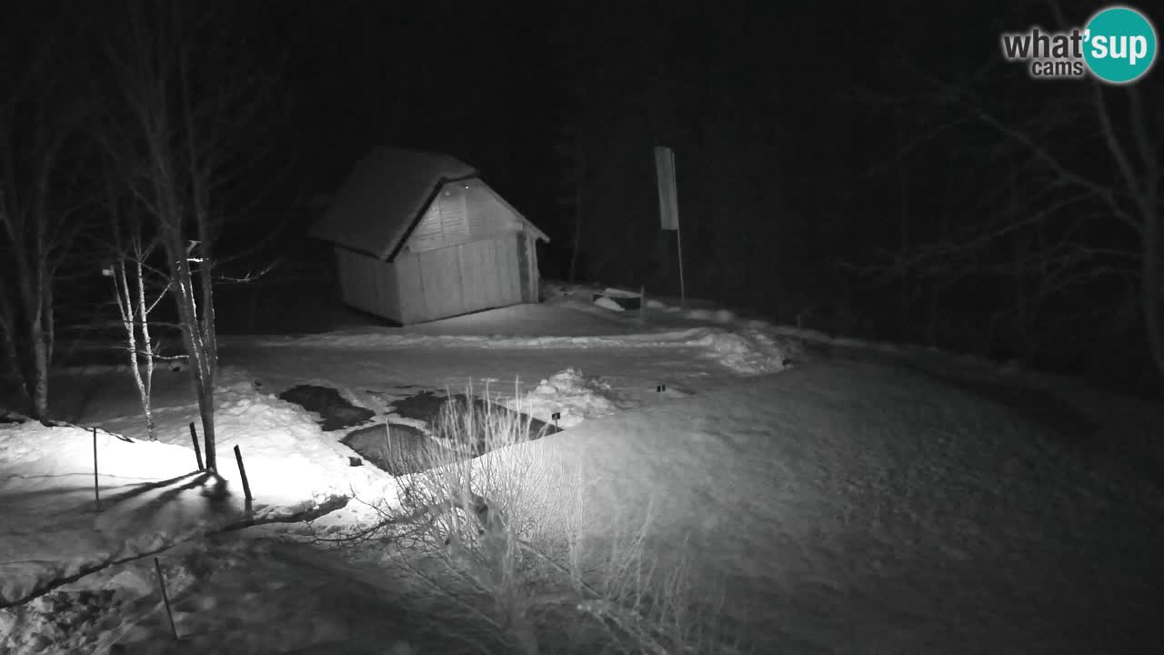 Webcam Lukanja – Pohorje houses a Water village