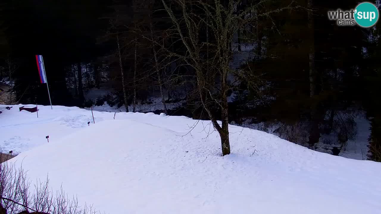 Webcam Lukanja – Water Village | Pohorje Houses