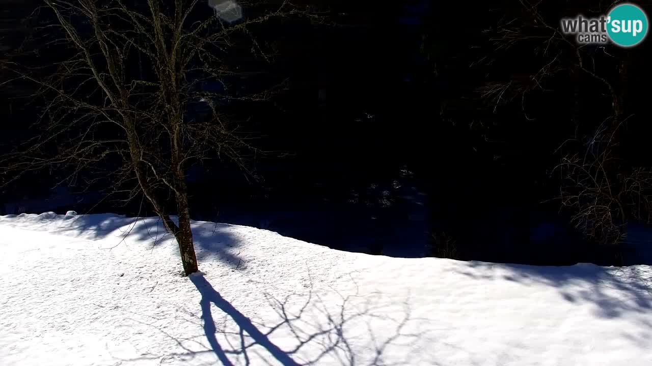 Webcam Lukanja – Water Village | Pohorje Houses