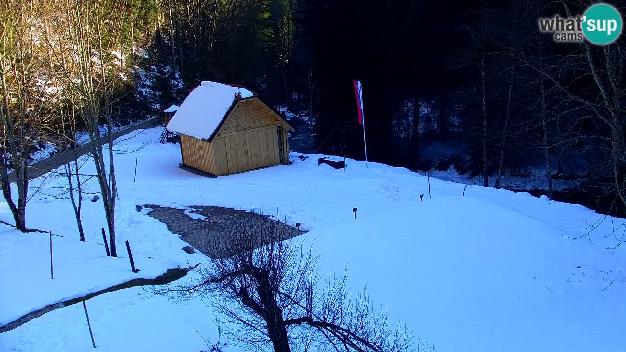 Webcam Lukanja – Water Village | Pohorje Houses