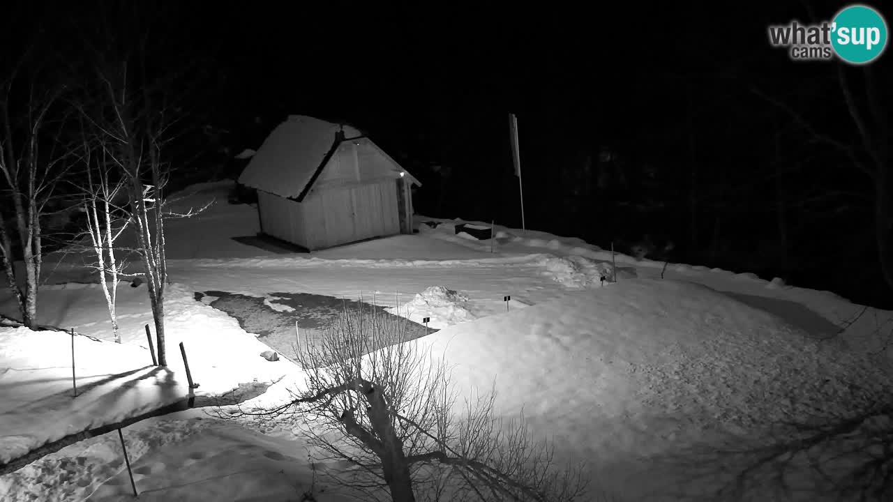 Webcam Lukanja – Pohorje houses a Water village