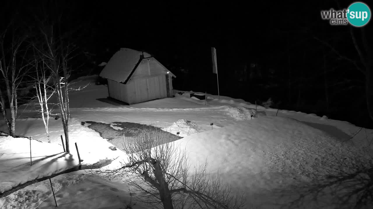 Webcam Lukanja – Pohorje houses a Water village