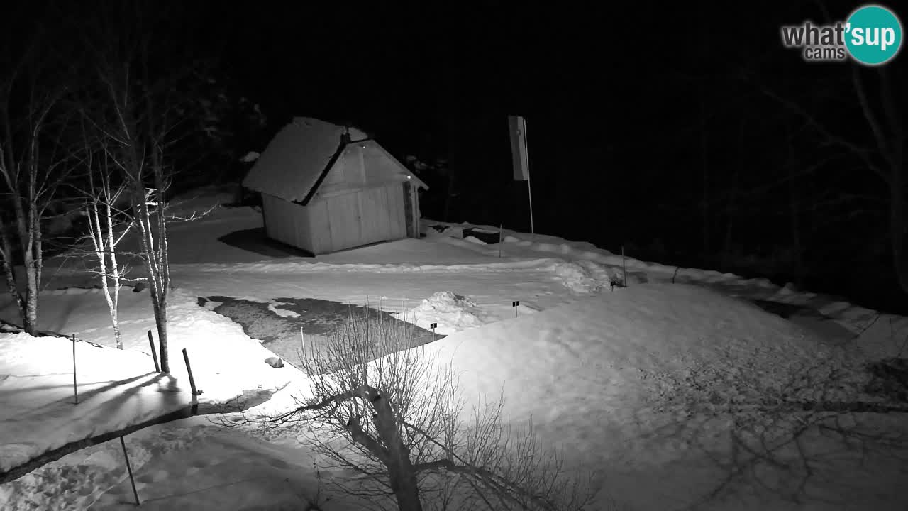 Webcam Lukanja – Pohorje houses a Water village