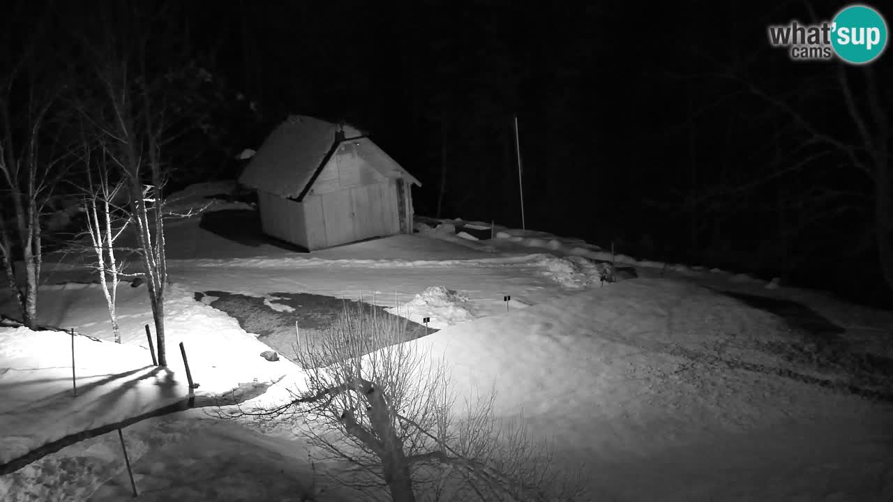 Webcam Lukanja – Water Village | Pohorje Houses