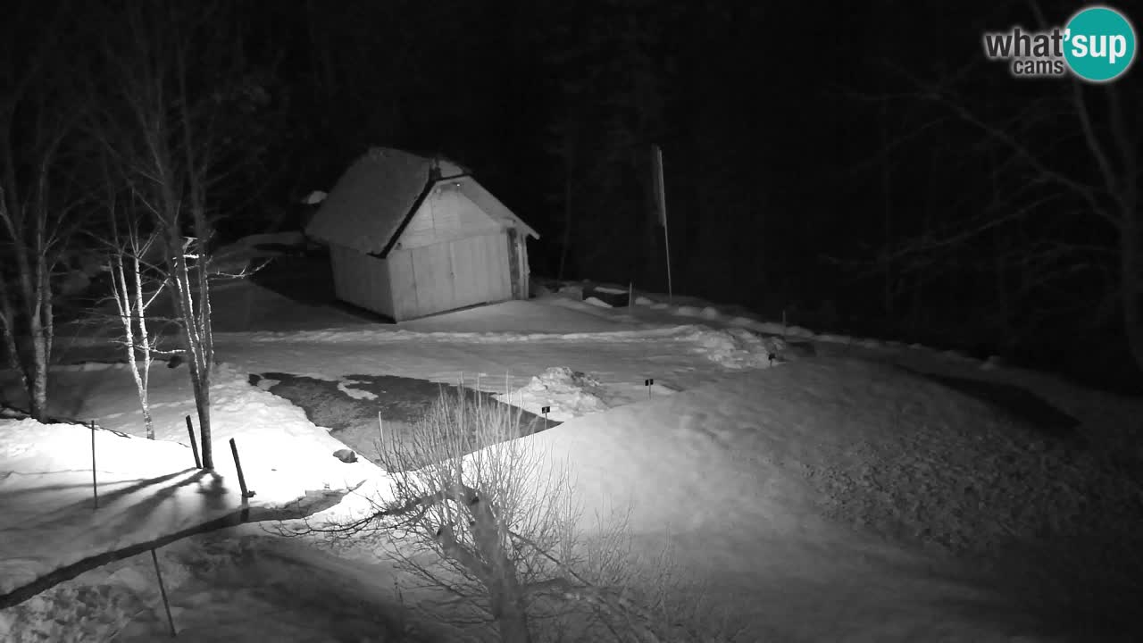 Webcam Lukanja – Pohorje houses a Water village