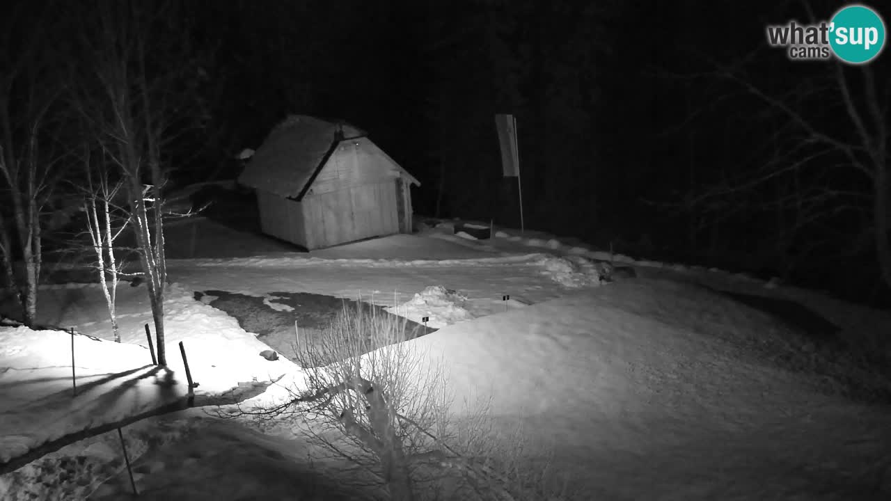 Webcam Lukanja – Pohorje houses a Water village