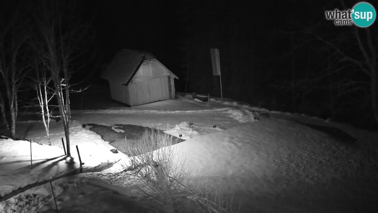 Spletna kamera Lukanja – Water Village | Pohorje Houses