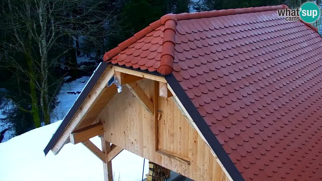 Webcam Lukanja – Water Village | Pohorje Houses
