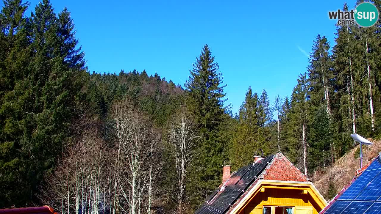 Webcam Lukanja – Water Village | Pohorje Houses