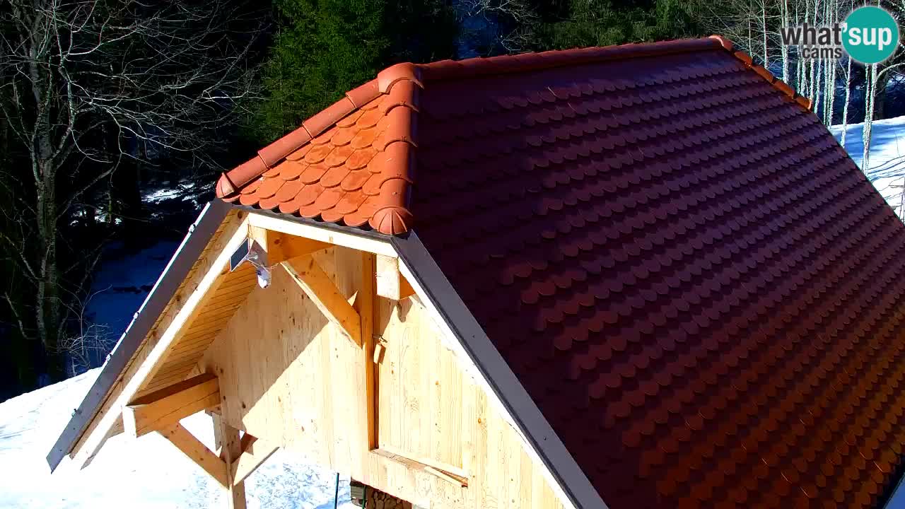 Webcam Lukanja – Pohorje houses a Water village