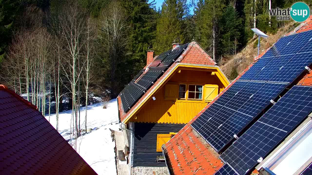 Spletna kamera Lukanja – Water Village | Pohorje Houses
